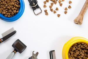 Collar, bowl with feed, leash, delicacy, combs and brushes for dogs. Isolated on white background photo