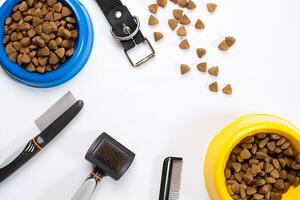 Collar, bowl with feed, leash, delicacy, combs and brushes for dogs. Isolated on white background photo