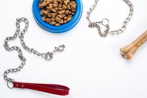 Collar, blue bowl with feed, leash and delicacy for dogs. Isolated on white background photo