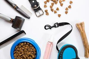 Collar, bowl with feed, leash, delicacy, combs and brushes for dogs. Isolated on white background photo