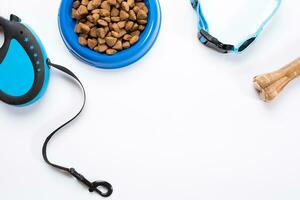 Collar, blue bowl with feed, leash and delicacy for dogs. Isolated on white background photo