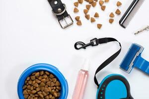 Collar, bowl with feed, leash, delicacy, combs and brushes for dogs. Isolated on white background photo