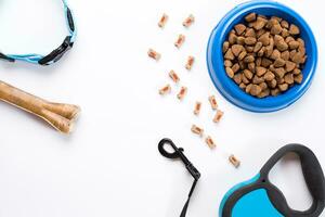 Collar, blue bowl with feed, leash and delicacy for dogs. Isolated on white background photo