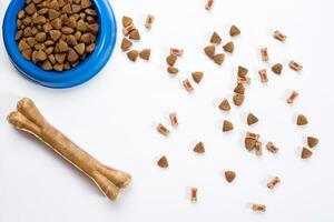 dry pet food in bowl on white background top view photo