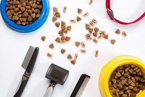 Collar, bowl with feed, leash, delicacy, combs and brushes for dogs. Isolated on white background photo