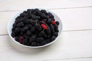 mulberry in white plate, top view photo