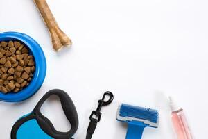 Collar, blue bowl with feed, leash, delicacy, combs and brushes for dogs. Isolated on white background photo