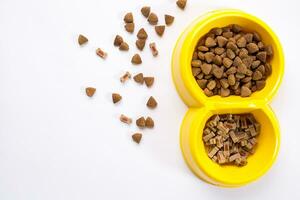 dry pet food in bowl on white background top view photo