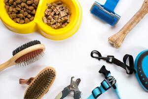 Collar, bowl with feed, leash, delicacy, combs and brushes for dogs. Isolated on white background photo