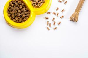 dry pet food in bowl on white background top view photo