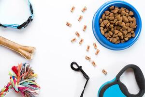 Collar, blue bowl with feed, leash and delicacy for dogs. Isolated on white background photo