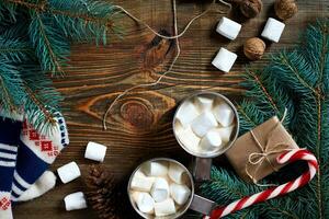 Cocoa with marshmallow, chocolate and spruce branches on a wooden background photo