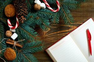 Christmas or New Year background with cookies, spices, cinnamon, nuts and fir tree branch on dark wooden background. photo