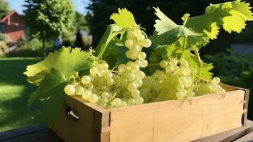 Freshly picked White currant fruit from garden placed in the boxes. Generative AI photo