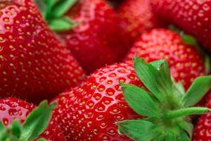 Fresh strawberry background. Ripe in close-up. photo