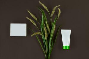 White cosmetic tube with green cap and cardboard box with no logo, flowering spikelets against black studio background. Close up, copy space photo