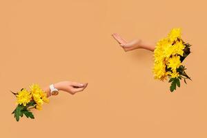 Two hands with yellow chrysanthemums acting like holding something in palms against beige background. Copy space photo