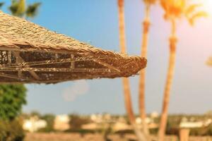 Straw umbrellas against the sky with view at palm trees photo