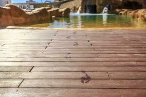 Closeup footprints on the wooden floor behind it swimming pool photo