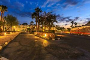 Evening view for road in illumination, white apartments, palm trees photo