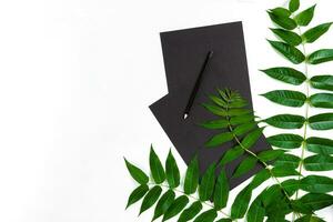 Natural composition with sketchbook and pencils on white table, decorated with green branches. Flat lay, top view, view from above photo