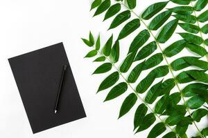 Natural composition with sketchbook and pencils on white table, decorated with green branches. Flat lay, top view, view from above photo