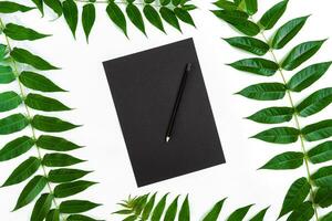 Natural composition with sketchbook and pencils on white table, decorated with green branches. Flat lay, top view, view from above photo