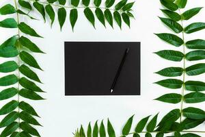 Natural composition with sketchbook and pencils on white table, decorated with green branches. Flat lay, top view, view from above photo