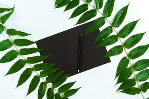 Natural composition with sketchbook and pencils on white table, decorated with green branches. Flat lay, top view, view from above photo