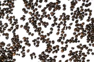 White background with coffee beans photo
