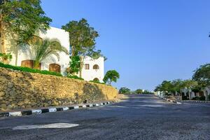 The view to road and palm trees near the hotels photo