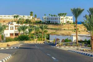 The view to road and palm trees near the hotels photo