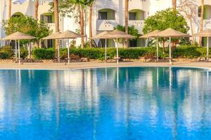 hermosa nadando piscina, el lujo hotel y palma arboles foto