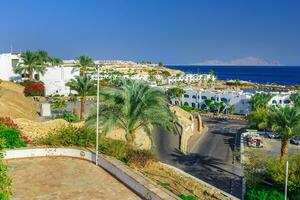 Panorama of white city at a tropical holiday resort, Egypt photo
