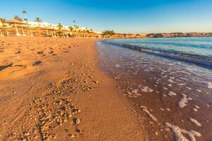 hermosa playa costa en el rojo mar, Egipto. foto