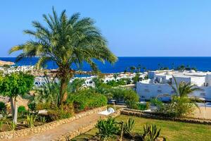 panorama de blanco ciudad a un tropical fiesta complejo, Egipto foto