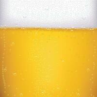 realistic beer backdrop vector