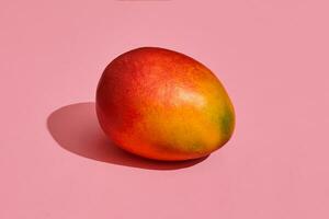 Colorful fruit pattern of fresh whole mango on coral pink background, top view photo