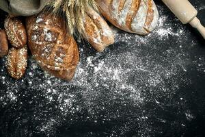 Homemade rye bread sprinkled with flour and various grains and seeds on a black background with spikelets of wheat or rye and oats. photo