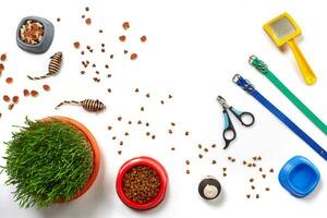 Flat lay composition with accessories for a cat isolated on white background. Pet care. photo