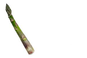 An edible, raw stems of asparagus isolated on white background. photo