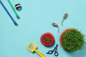 Flat lay composition with accessories for a cat on a blue background. Pet care. photo