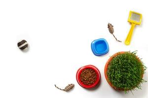 Flat lay composition with accessories for a cat isolated on white background. Pet care. photo