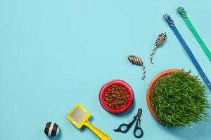 Flat lay composition with accessories for a cat on a blue background. Pet care. photo