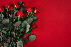 Close-up beautiful red roses bouquet on red background for valen photo