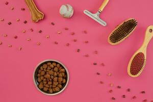 Accessories for the grooming of the dog. Combs and brushes for dogs. Top view photo