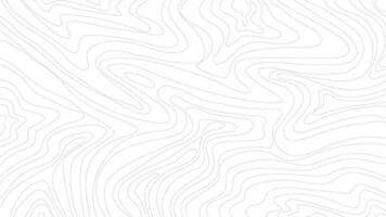 topographic contour background. abstract wavy background. contour background. modern Topographic map wallpaper. topographic background. vector