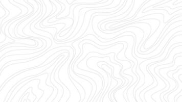 topographic contour background. abstract wavy background. contour background. modern Topographic map wallpaper. topographic background. vector