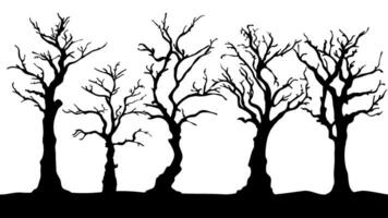 silhouette of a tree. silhouette of dead tree vector illustration. silhouette of trees and branches without leaves. Bare Tree silhouette. Black Branch Tree vector.