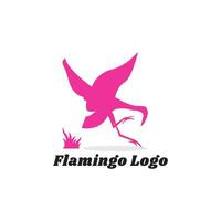 flamenco logo. rosado flamenco logo. flamenco pájaro logo. vector